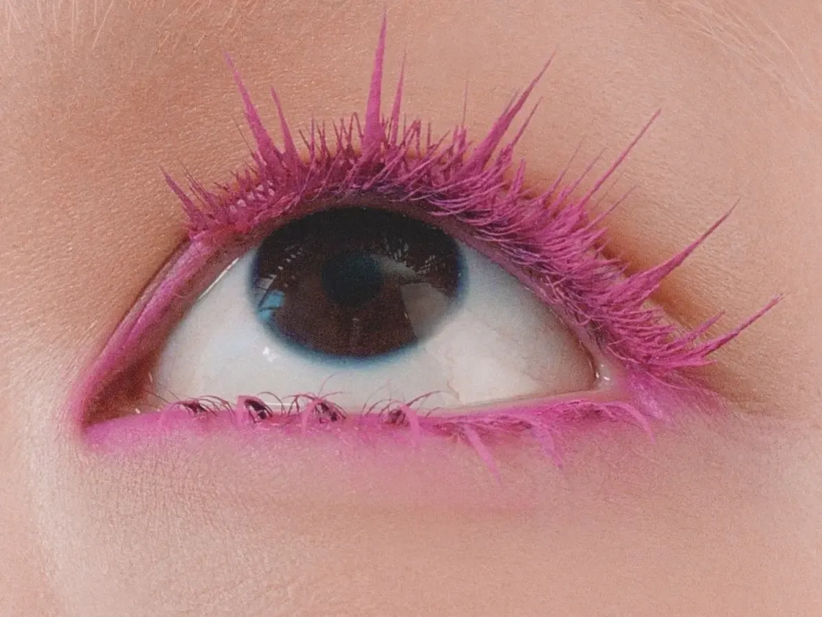 Služby řas ve studiu noéme